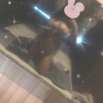 なのかはギズモがお好き🙌