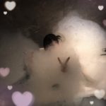 なのかはお風呂が大好き🙌