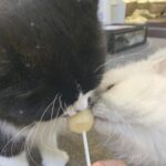 えいら🎀お礼日記