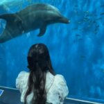 たまの夏休み🎀