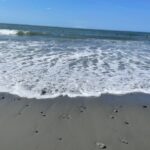 お久しぶりー！