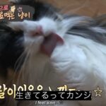 ひまり退散‼️わら