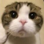 ひまりさん18じから‼️